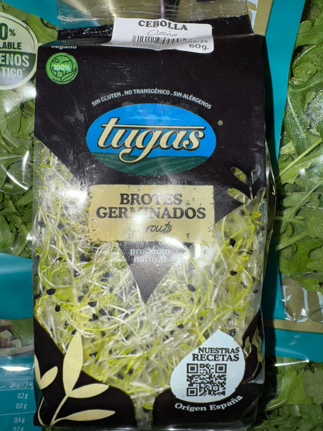 Brotes de Cebolla